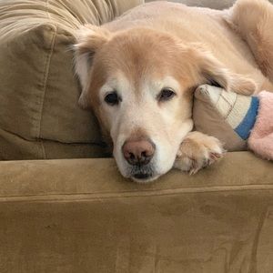 Meet your Posher, Michelle